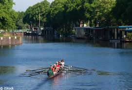 625 likes · 12 talking about this. L Aviron Un Sport Qui A Vraiment Tout Bon