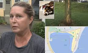 Boston woman, 31, suffers cardiac arrest in 'huge' lightning strike that  threw her into the air while walking her dog and chatting with a friend