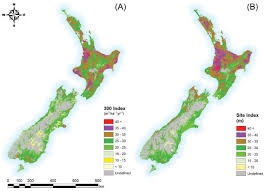 Nz Farm Forestry Mapping The Productivity Of Radiata Pine
