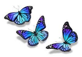 Three Turquoise Blue Butterflies Isolated On White Background Blue Butterfly Tattoo Colorful Butterfly Tattoo Butterfly Tattoo Designs