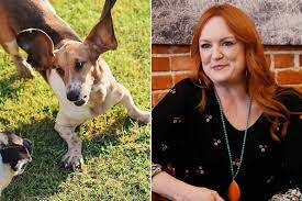Ree Drummond Mourns Death of Her Dog Walter