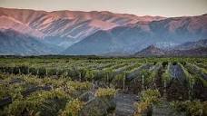 San Juan - Argentinian Wine Region | Wine-Searcher