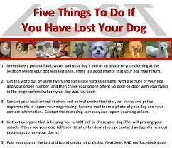We provide our website and. Lost Found Animals Animal Shelter