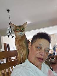 Abby, Callie and Xena set their plan in motion