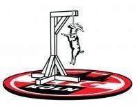 Fc köln verpflichtet sich, die gesetzlichen bestimmungen zum datenschutz zu beachten. Scheiss 1 Fc Koln Gruppe