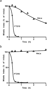 Inactivation of Cdk1/Cyclin B in metaphase-arrested mouse FT210 cells  induces exit from mitosis without chromosome segregation or cytokinesis and  allows passage through another cell cycle