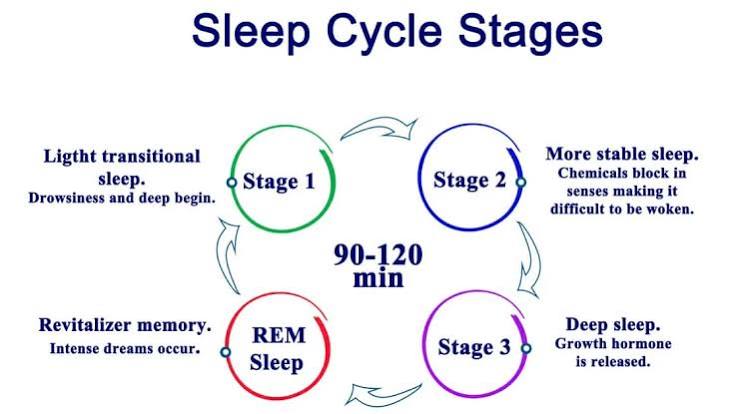 Understanding Sleep Cycles and Why They Matter - WoodstockOutlet