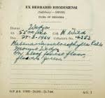 Image result for Habenaria debeerstiana