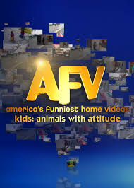 What we find funny really is relative, but luckily, netflix has so many great comedy shows, you're bound to add at least one to your queue. Is America S Funniest Home Videos Kids Animals With Attitude On Netflix Where To Watch The Series New On Netflix Usa