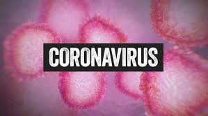 Image result for coronavirus picture