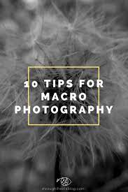 10 Macro Photography Tips For Beginners Easy Steps To Take Your Macro Photography To T Macro Photography Tips Macro Photography Digital Photography Techniques