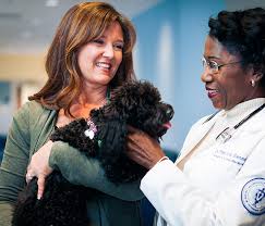 Prices and services shown below are for your clinic. Pin By Jen Fithen On For Max Pet Clinic Animal Companions Veterinary Care