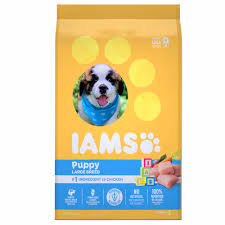 Labradors are incredibly easy to train, great with children, and my goodness are they loyal. Adult Lamb Rice Recipe Dog Food Iams