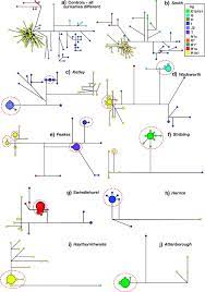 If you are looking for that perfect t name for your baby, then this is the list for you. Selected Median Joining Networks Showing Haplogroup And Y Str Haplotype Download Scientific Diagram
