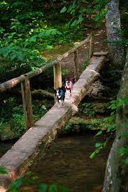Kevin Amanda The Best Travel Destinations Easy Recipes Alabama Travel Alabama Outdoors Hiking Places