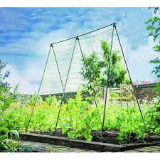 Maybe you would like to learn more about one of these? Whites Group Vegie Growing