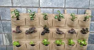 Jute Flower Pots Planters Online Buy Garden Pots For Plants In India Vertical Garden Plant Growing Container Ba In 2020 Vertical Garden Plants Vertical Garden Plants