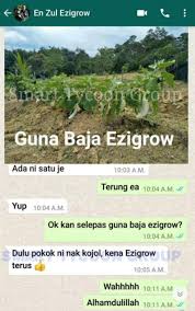 Review baja air ezigrow sebelum semburan baja dilakukan. Baja Ezigrow Saiz 500ml Shopee Malaysia