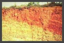 Kegiatan kmi lakukan secara gotong royong agar akses masyarakat menuju dan mengangkut hasil kebun dan ladang. Tanah Laterit Yang Berasal Dari Indonesia Steemkr
