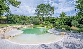 Comment Rattraper Une Eau De Piscine Verte Cote Piscine