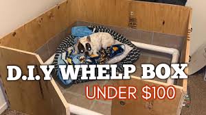 Whelping area is 4' x 6', has a puppy rail. How To Make Dog Whelping Box Under 100 Step By Step French Bulldog Breeders Youtube