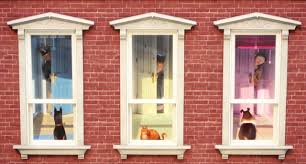 тайная жизнь домашних животных смотреть онлайн полная версия ютуб Multfilm Tajnaya Zhizn Domashnih Zhivotnyh 2016 Russkij Trejler Smotret V Hd Youtube