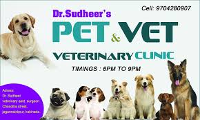 Check spelling or type a new query. Pet Vet Veterinary Clinic Home Facebook