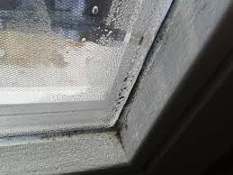 Lesen sie auch — fenster streichen bei der geeigneten temperatur lesen sie auch — ein fenster einhängen Fruh Am Morgen Wasser Am Fenster Und Erster Schimmel Wohnen Heimwerken