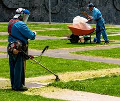 Do not think so because idc 580 supreme gas weed eater manual pdf download this limited edition. String Trimmer Wikipedia