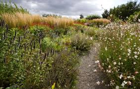 (from oudolf hummelo) piet oudolf is a renowned dutch garden and landscape designer at the forefront of the new perennial movement. Piet Oudolf