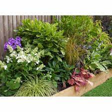 We did not find results for: Garden On A Roll Mixed Shady Border Pack 4m X 90cm Wilko