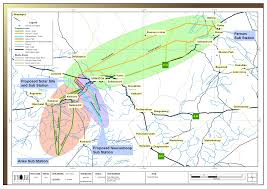 Image result for Chascanum schlechteri