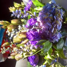 Search for homes in san diego or find a san diego real estate agent who knows walkable neighborhoods. Wholesale Flowers Morena 6 Tips From 448 Visitors