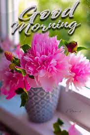 Mimi Gif Good Morning Good Morning Flowers Good Morning Flowers Gif Good Morning Animation