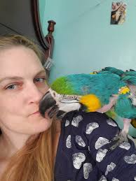 Here's a quick one for you. Mary and Carrie's combined ages are 53. Mary is  older than Carrie. The difference of their ages is 35. How old are Mary and  Carrie?