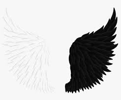 Black and white angel wings. Angels Wings Angel Wings Black And White Wing Transparent Png 900x667 Free Download On Nicepng