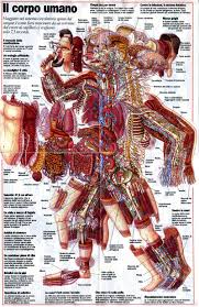 Excerpt|The Last Hunt] A human crew gets digested by a Tyranid bio-ship :  r40kLore