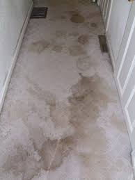 The more knots per square inch, the more valuable the rug. Before After Photos Heavens Best Carpet Cleaning Lakeland Fl