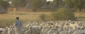 Live2africa Pan African Support To The Au Ibar For A Sustainable Development Of Livestock For Livelihoods In Africa The Africa Eu Partnership