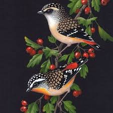 Shop Art By Lyn Cooke 13 Artworks For Sale On Bluethumb In 2020 Birds Painting Birds Photography Nature Bird Drawings