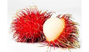 March 17, 2021december 14, 2019 by coloring. Rambutan