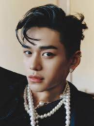 Maybe you would like to learn more about one of these? Lucas Wayv Wiki Fandom