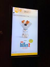 Comme des bêtes est un film d'animation américain réalisé par chris renaud et yarrow cheney, sorti en 2016. Le 23 Juin 2019 Avant Premiere Du Film Comme Des Betes 2 En Salle 1 De L Europacorp D Aeroville Picture Of Cinema Pathe Aeroville Tremblay En France Tripadvisor