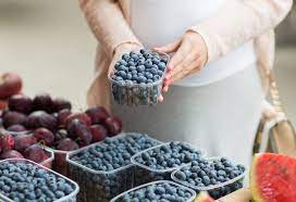Consuming Blueberry In Pregnancy Health Benefits Side Effects Recipes