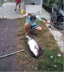 Jejak kolam ke lg kolam pancing air masin di batang kali, selangor aktiviti dilakukan dengan kerjasama kelab di sebuah organisasi bagi memenuhi kalendar. Senarai Kolam Pancing Ikan Air Tawar Port Di Selangor Emajalah2u