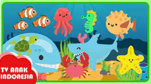 We did not find results for: Mengenal Dan Belajar Binatang Laut Tv Anak Indonesia Youtube