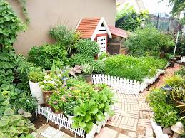 Padahal sayur dan buah jadi makanan yang wajib dikonsumsi, terutama oleh orang yang sedang menurunkan berat. Rezeki Buat Kebun Tepi Rumah Siapa Sangka Pernah Terima Kunjungan Orang Istana Wanikiter