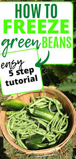 Transfer the frozen green beans into labeled zip top freezer bags. How To Freeze Green Beans Mranimal Farm