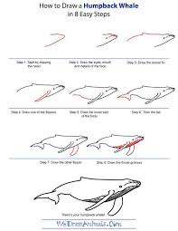 How To Draw A Humpback Whale Step By Step Tutorial Whale Drawing Watercolor Whale Sea Creatures Drawing