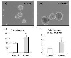 Image result for Suramin